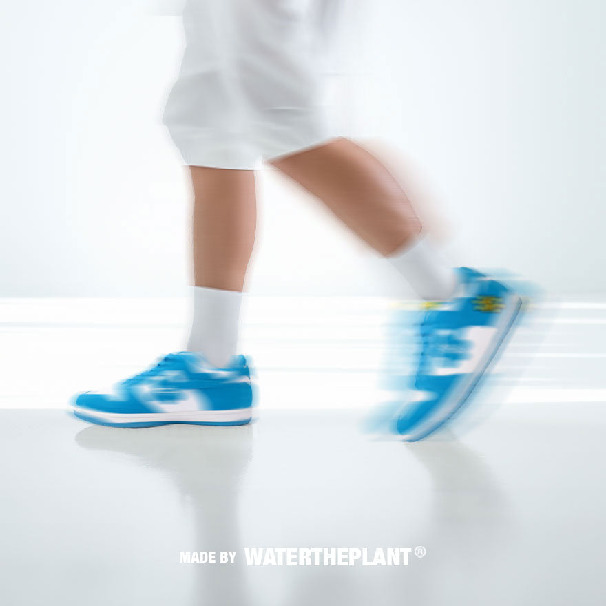 WATER THE PLANT - "CLOUD" KICKS